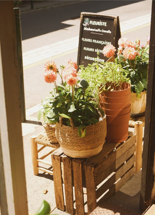 Fleurs_Galerie_2