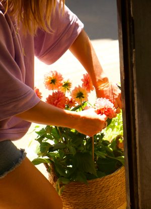 Fleurs_Galerie_4